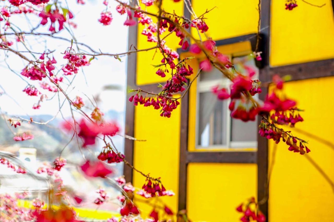 Shepherd'S B&B Zsenaj Kültér fotó