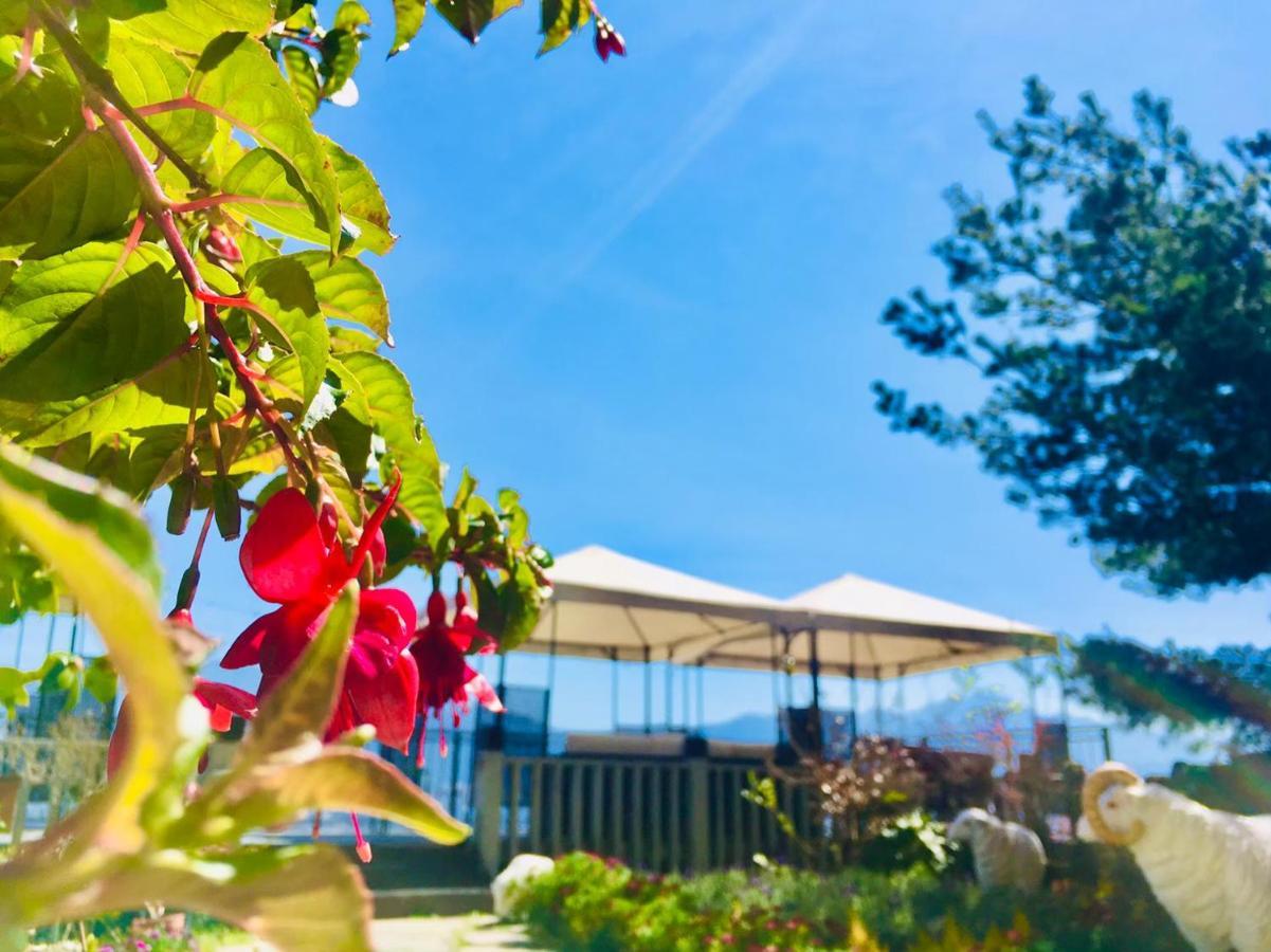 Shepherd'S B&B Zsenaj Kültér fotó